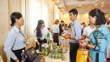 Cùng doanh nghiệp liên kết

để chia sẻ, hợp tác thành công
