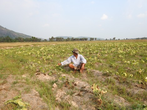 Đi qua miền "đất khát"