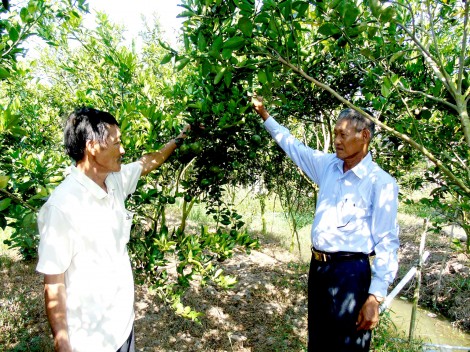 Tạo diện mạo mới

cho xã nông thôn mới