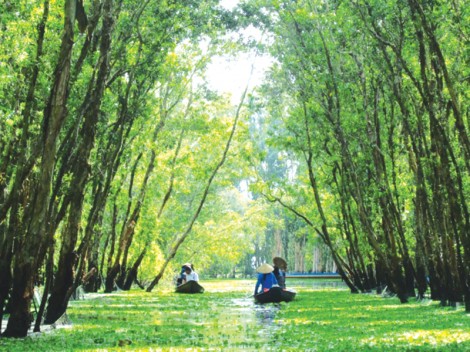 “Phượt” trên cung đường xanh