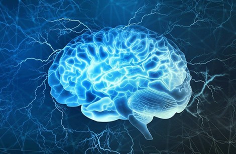 Não sản xuất tế bào thần kinh suốt đời