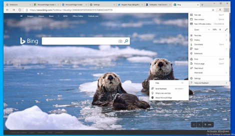 Microsoft kỳ vọng lớn vào Edge Chromium