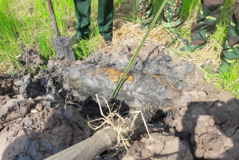 Cà Mau: Thu gom 2 quả bom xót lại sau chiến tranh nặng hơn 400 kg