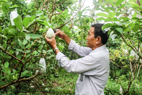 Để vùng đồng bào dân tộc Khmer ở ĐBSCL phát triển bền vững  Bài 2: Giải bài toán căn cơ: Giảm nghèo bền vững!