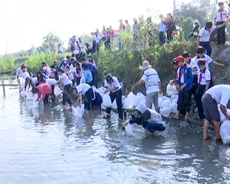 Tái tạo nguồn lợi thủy sản  bảo vệ môi trường sinh thái