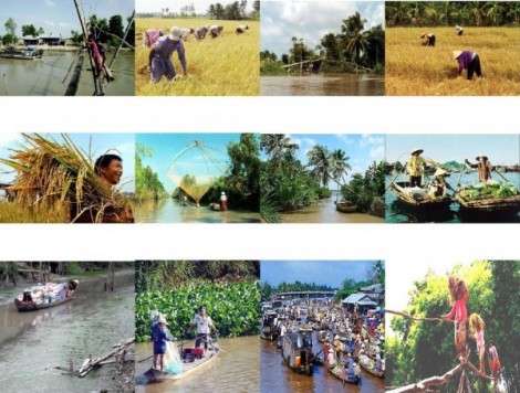 Chương trình hành động phát triển bền vững ĐBSCL thích ứng với biến đổi khí hậu