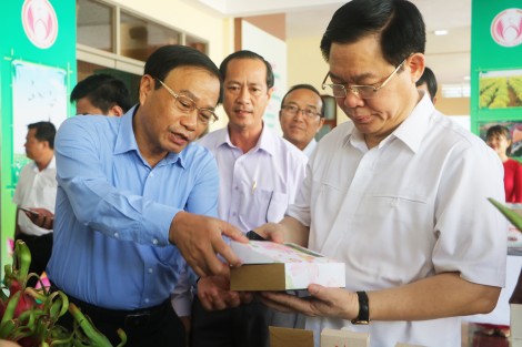 Hợp tác xã yếu tố quan trọng  phát triển nông nghiệp gắn với biến đổi khí hậu