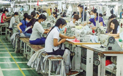 Nhiều tín hiệu khả quan!