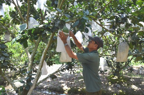 Huyện nông thôn mới Thới Lai: Đích đến không còn xa!