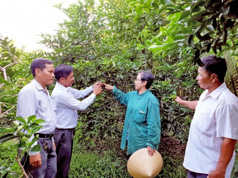 Vì lợi ích của hội viên, nông dân