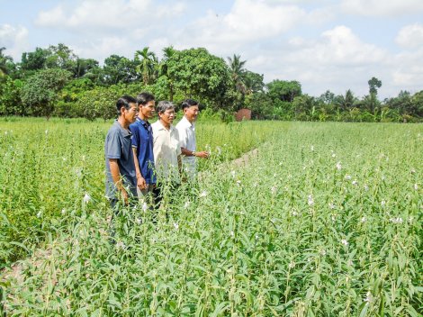 Vì nhân dân phục vụ