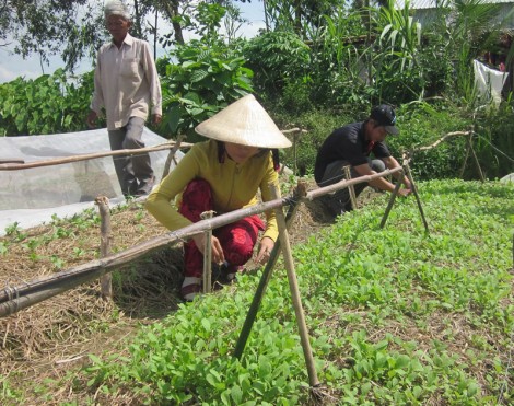Nhọc nhằn bước mưu sinh theo mùa vụ