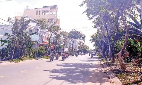 Phê duyệt Kế hoạch sử dụng đất năm 2019 của quận Ninh Kiều
