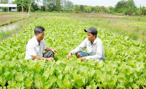 Nguyện dốc sức phục vụ nhân dân