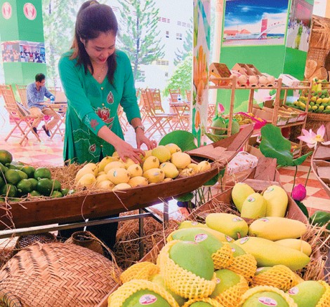 Giải “lời nguyền” chi phí cao, chất lượng kém