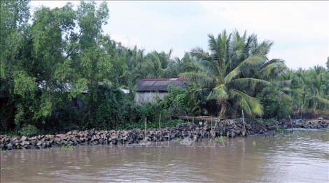 Sạt lở bờ sông, xói lở bờ biển diễn biến phức tạp tại Kiên Giang