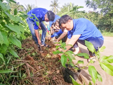Những con đường đẹp ở Long Hòa