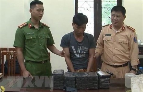 Triển khai Tháng hành động phòng, chống ma túy năm 2019