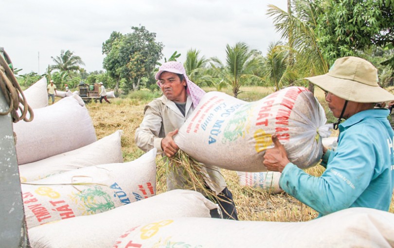 Dấu ấn “Vietnam Rice”
