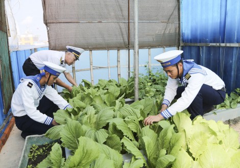 Tăng gia ở đảo Núi Le