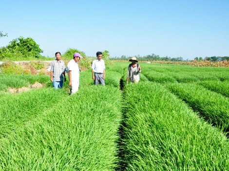 Sàng lọc đảng viên