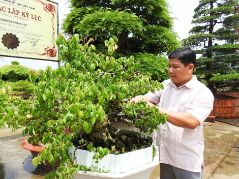 Tỉ phú hoa kiểng

và những trăn trở

với nghề