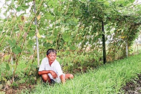 Quyết làm giàu