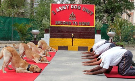 Ngoại giao Yoga