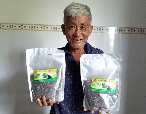 Lão nông vùng biên tâm huyết với cây lúa tím