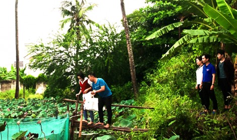 Sức trẻ Trường Cao đẳng Cần Thơ