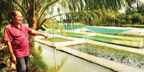 Triển vọng từ mô hình nuôi thủy sản kết hợp 