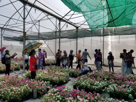 Phát triển du lịch cộng đồng - nông nghiệp từ nền tảng các giá trị văn hoá bản địa