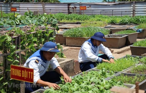 Bài 1: Rau vẫn xanh, hoa nở trên đá giữa muôn trùng sóng nước