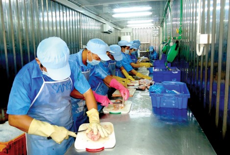 Quyết liệt thu hồi, xử lý nợ thuế