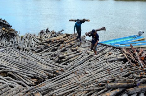 Nghề hầm than đước ở Cà Mau