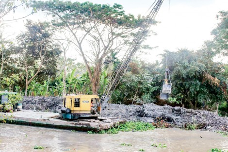 Lũ “cạn”, xâm nhập mặn và giải pháp ứng phó