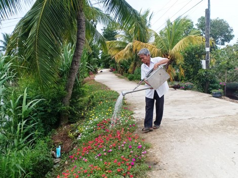 “Trái ngọt” của Long Hưng