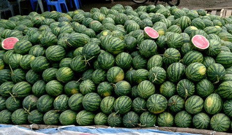 Trái cây sụt giảm giá do thị trường Trung Quốc không ổn định
