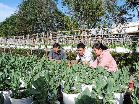 Nâng cao hiệu quả

tín dụng chính sách