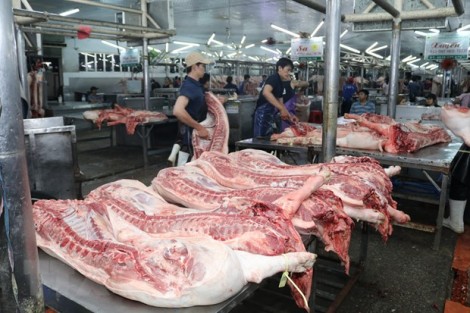 Chênh lệch giá cao, heo miền Nam "tìm đường" ra Bắc