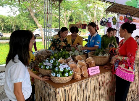Khai mạc Ngày hội Du lịch sinh thái Phong Điền 2019