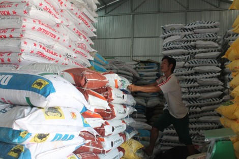 Giá phân bón giảm