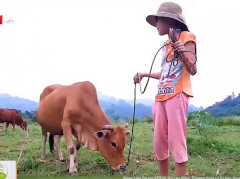 Viết tiếp ước mơ đến trường cho trẻ em nghèo