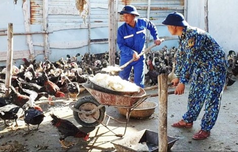 Vững chí nơi đảo xa