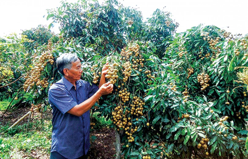 10 năm, nông thôn đồng bằng “thay áo” mới  Bài 2: Những bài học kinh nghiệm