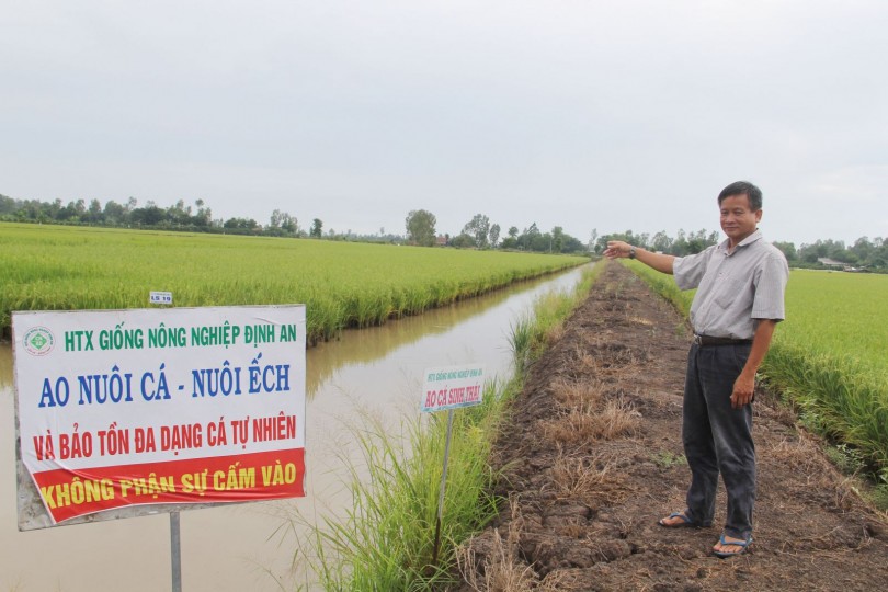 10 năm, nông thôn đồng bằng "thay áo” mới" Bài cuối: Bứt phá trên chặng đường mới