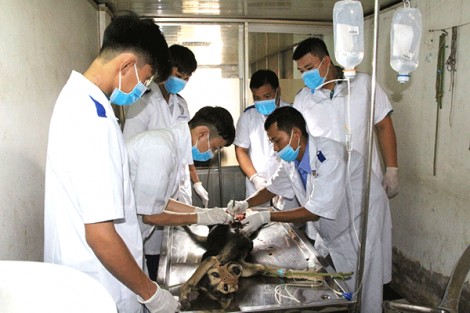 Noi gương Bác, dạy và học tốt hơn