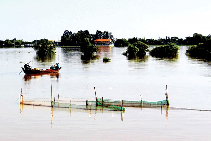 Sản xuất “né” hạn, xâm nhập mặn ở ĐBSCL