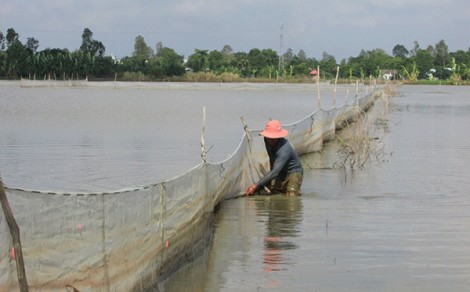 Triều cường đầu tháng 10 âm lịch sẽ thấp hơn đầu tháng 9 âm lịch