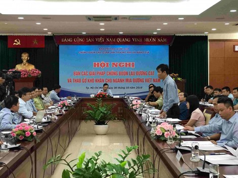 Ngành mía đường trong nước đang gặp nhiều khó khăn